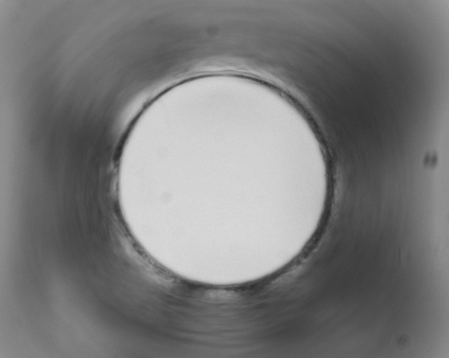 X0000111851509200909031715