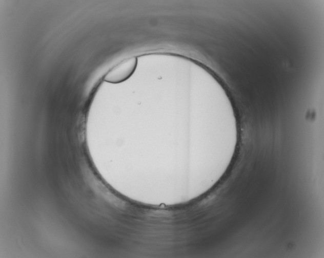 X0000111851510200909031715