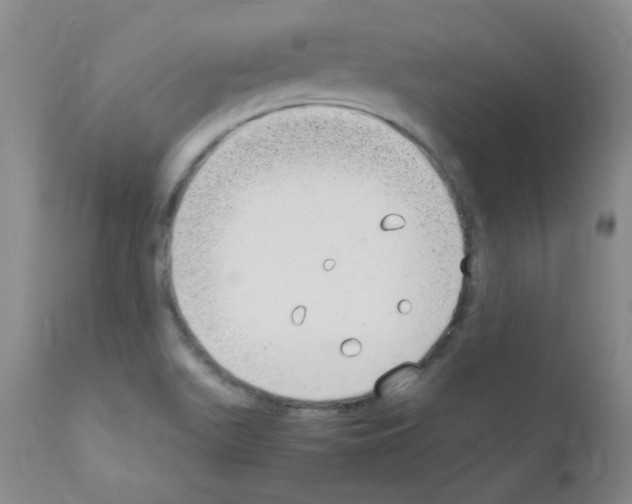 X0000111851511200909031715