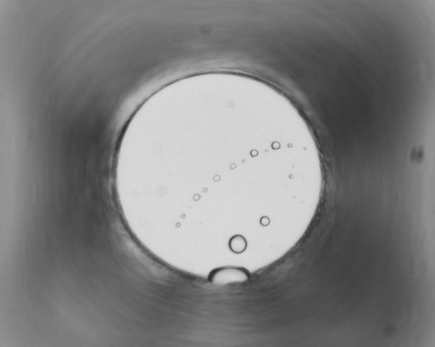 X0000111851512200909031715