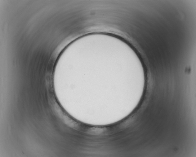 X0000111851513200909031715