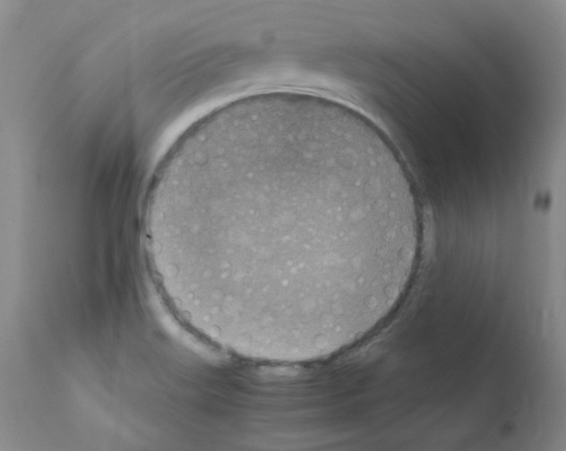 X0000111851515200909031715