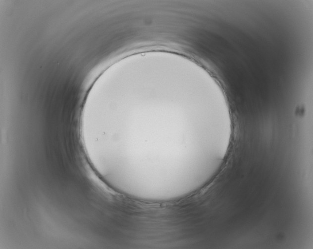 X0000111851516200909031715