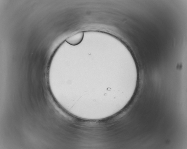 X0000111851517200909031715