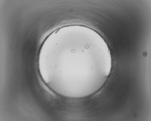 X0000111851518200909031715