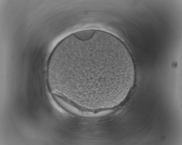 X0000111851519200909031715
