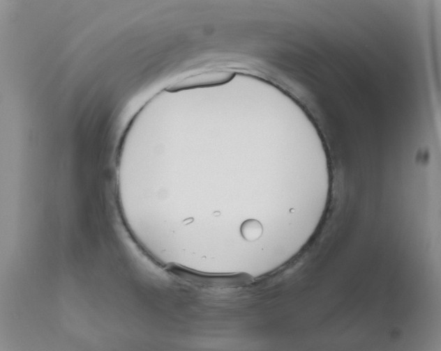 X0000111851520200909031715