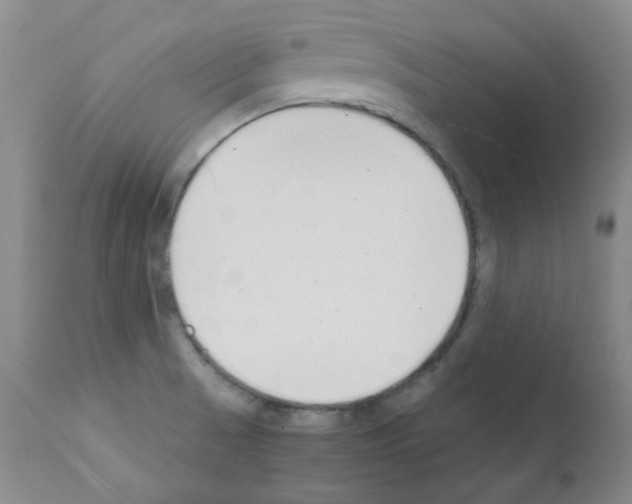 X0000111851521200909031715