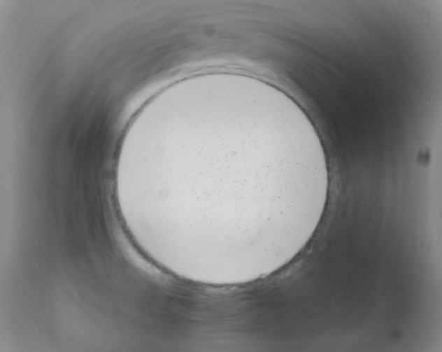 X0000111851523200909031715