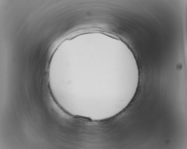 X0000111851524200909031715