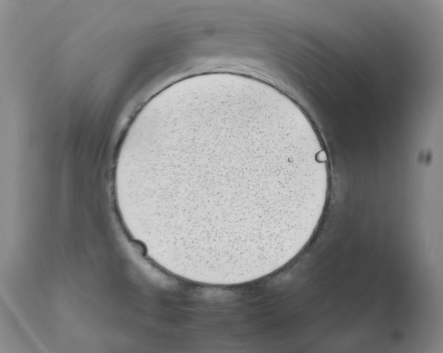 X0000111851525200909031715