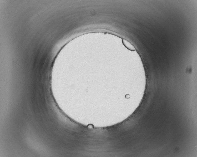 X0000111851526200909031715