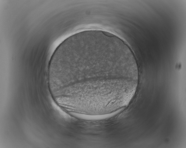 X0000111851527200909031715