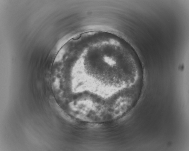 X0000111851529200909031715