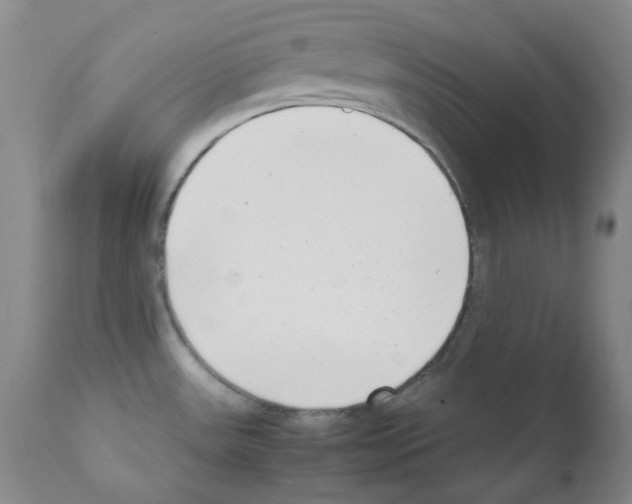 X0000111851531200909031715