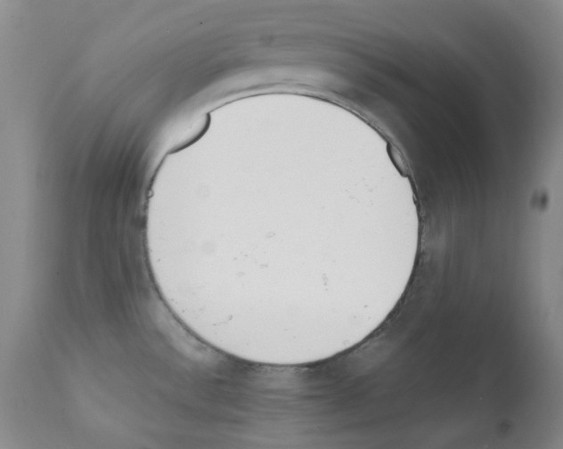 X0000111851532200909031715