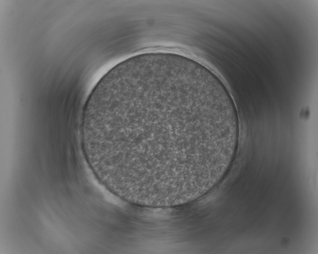 X0000111851533200909031715