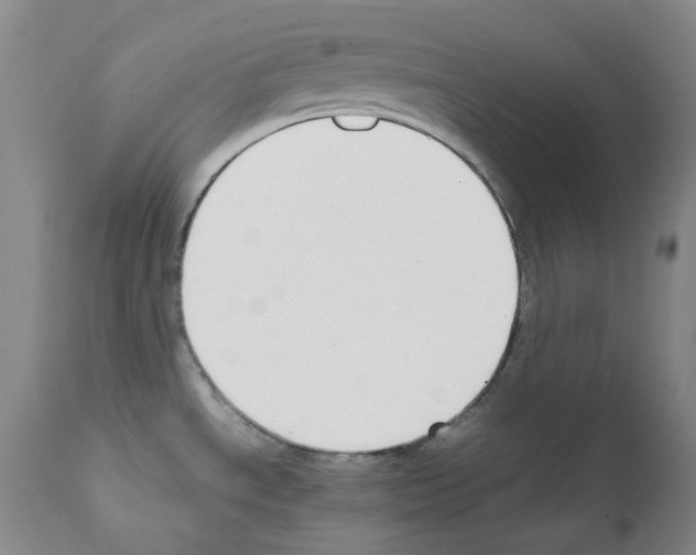 X0000111851534200909031715