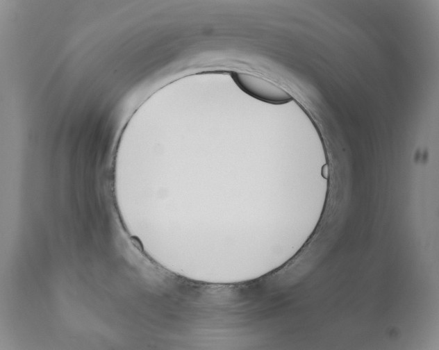 X0000111851536200909031715