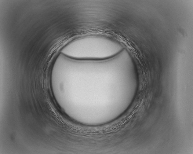 X0000111860002200907231140