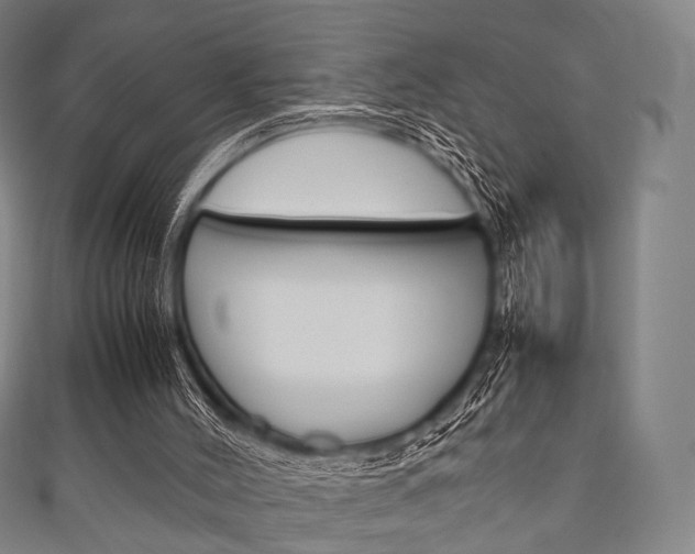 X0000111860004200907231140