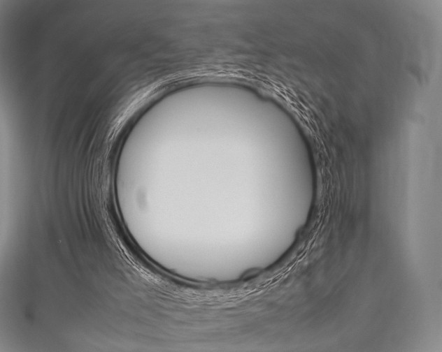 X0000111860005200907231140