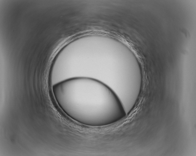 X0000111860007200907231140