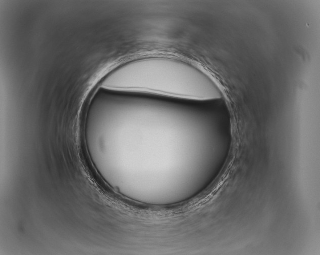 X0000111860008200907231140
