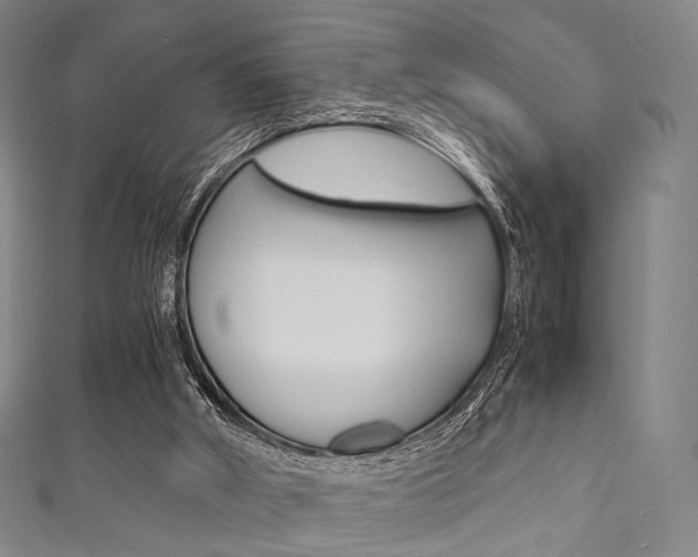 X0000111860010200907231140
