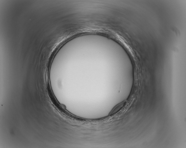 X0000111860011200907231140