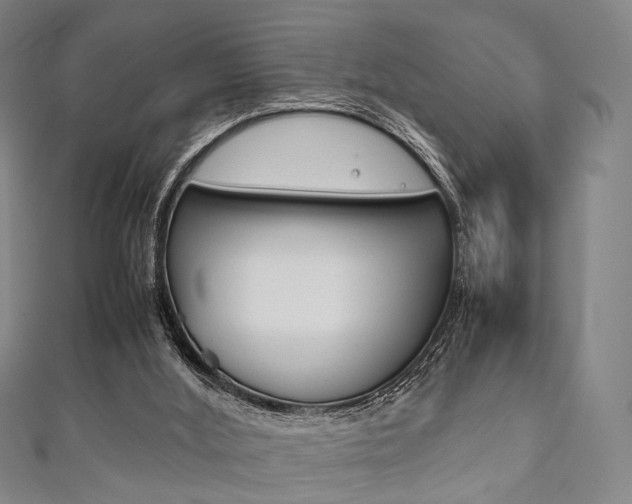 X0000111860012200907231140