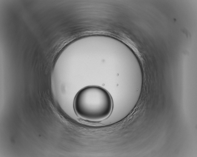 X0000111860013200907231140
