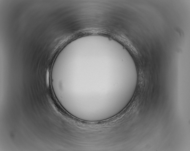 X0000111860014200907231140