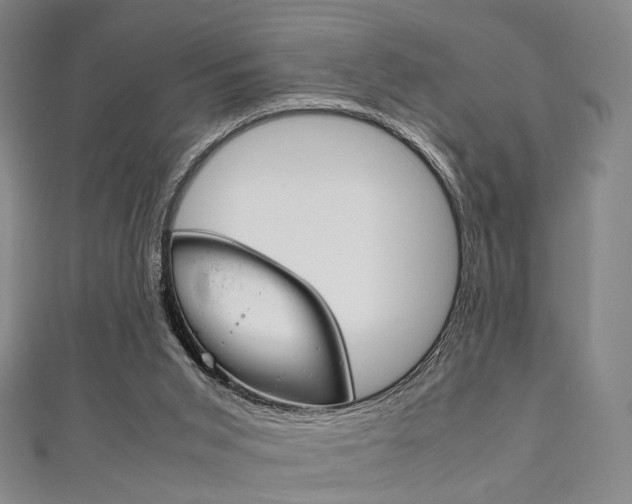 X0000111860015200907231140