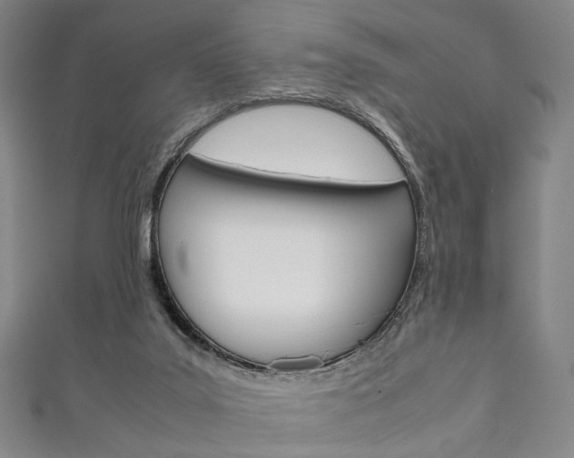 X0000111860019200907231140