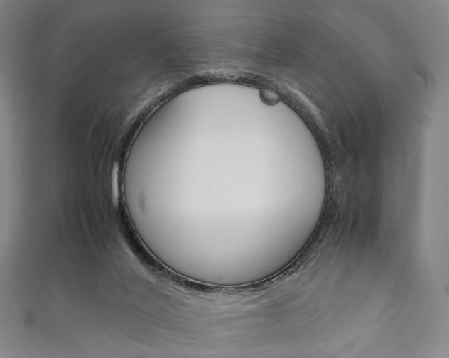 X0000111860020200907231140