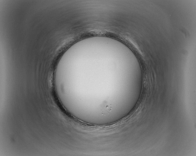 X0000111860023200907231140
