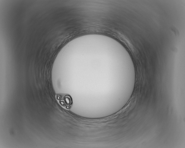 X0000111860025200907231140