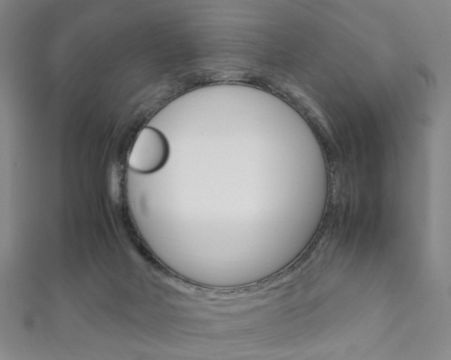 X0000111860026200907231140