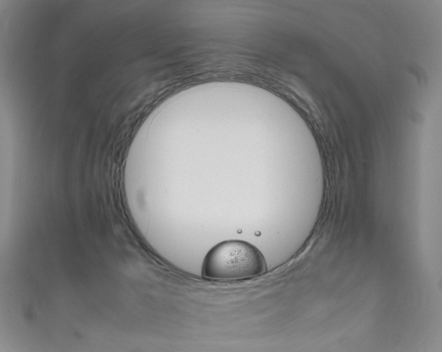 X0000111860029200907231140
