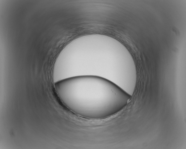 X0000111860031200907231140