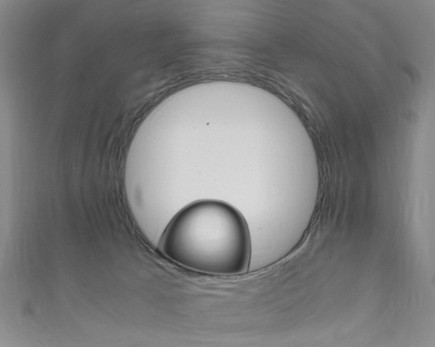 X0000111860033200907231140