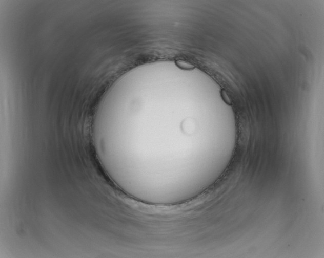 X0000111860034200907231140