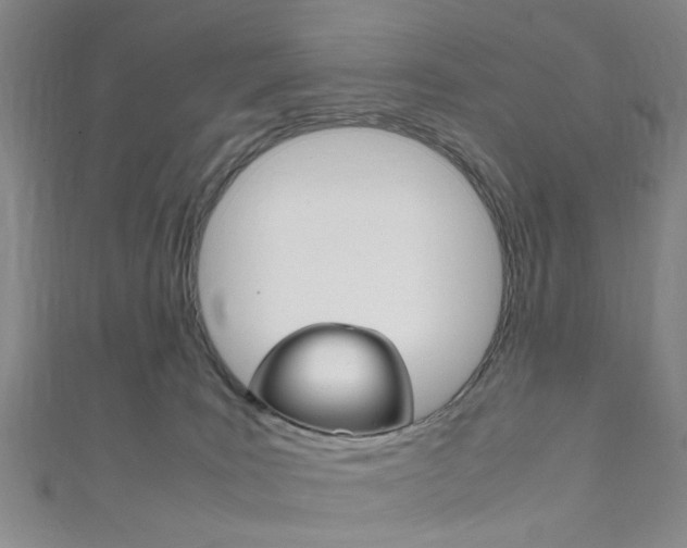 X0000111860035200907231140