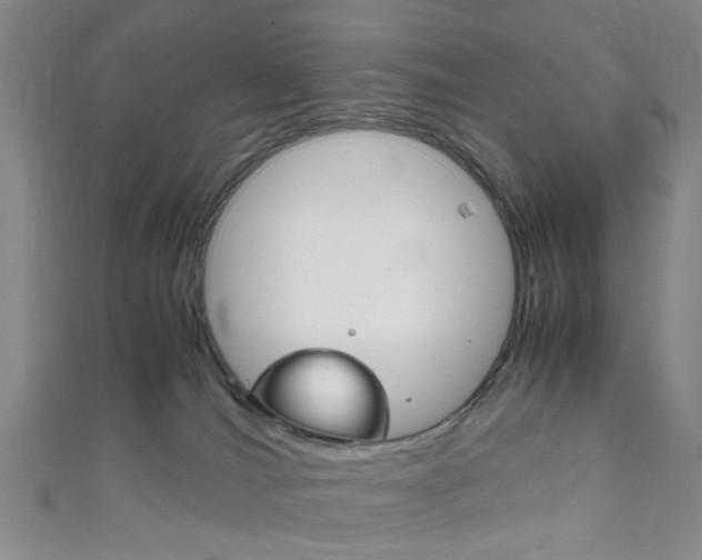 X0000111860036200907231140