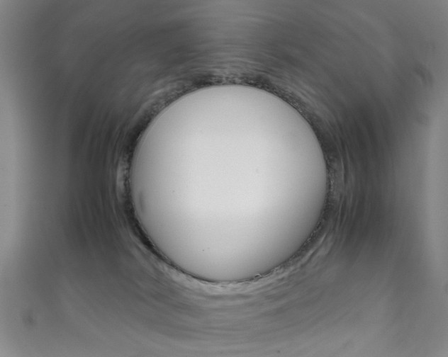 X0000111860038200907231140