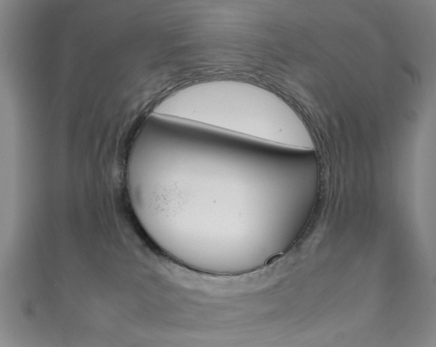 X0000111860039200907231140