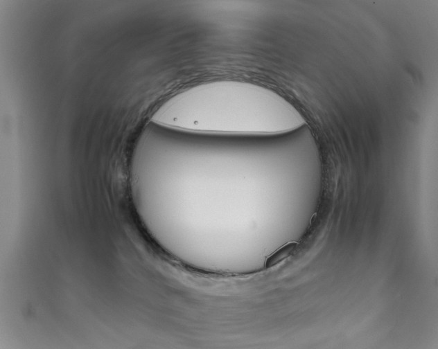X0000111860040200907231140