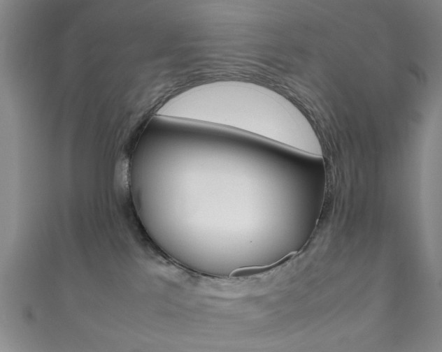 X0000111860041200907231140
