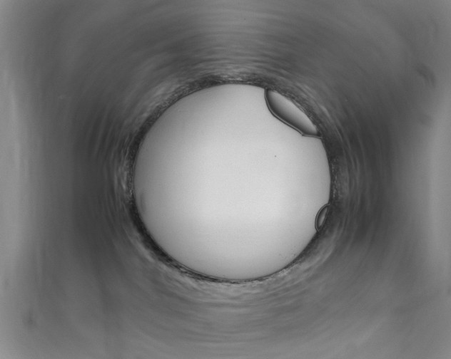 X0000111860044200907231140